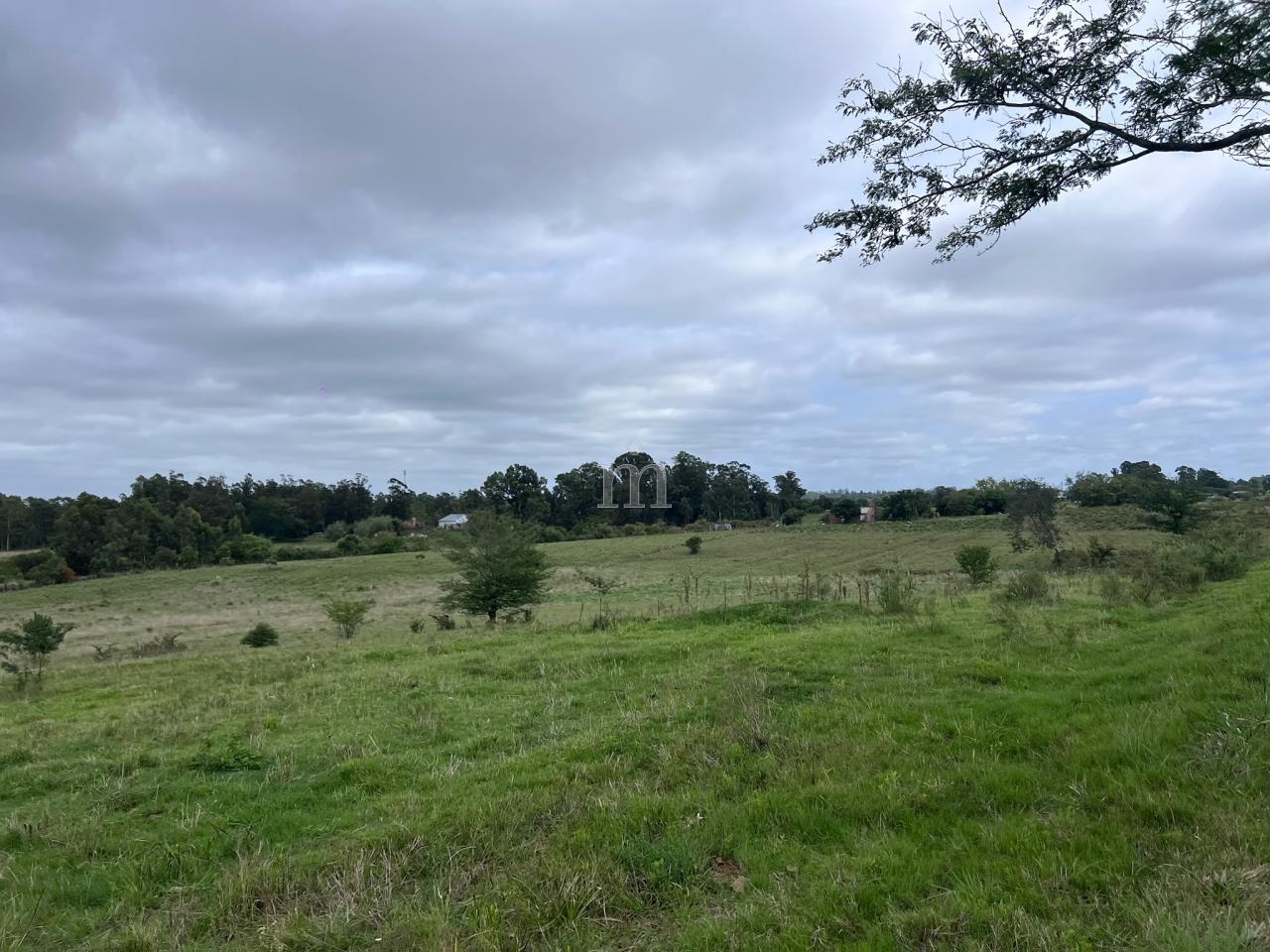 Foto 40
