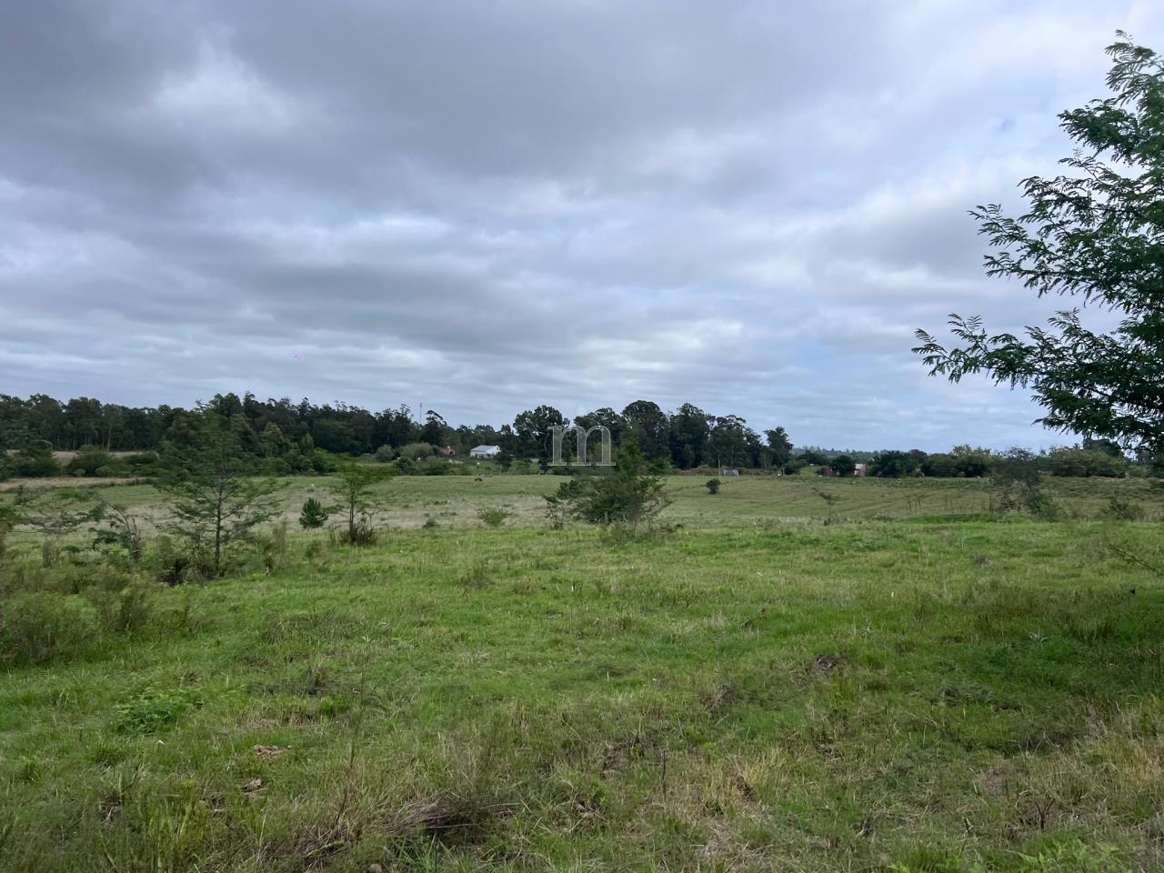 Foto 41