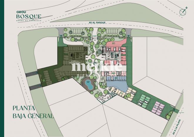 Master Plan 1