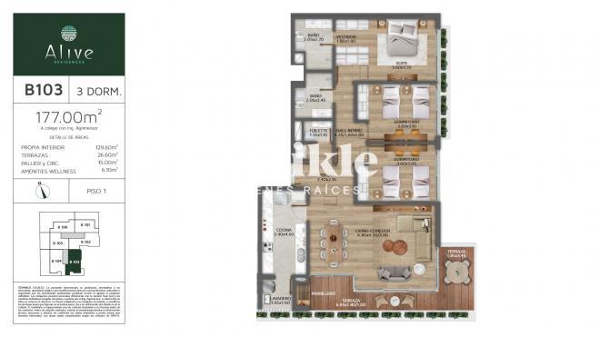 Master Plan 3