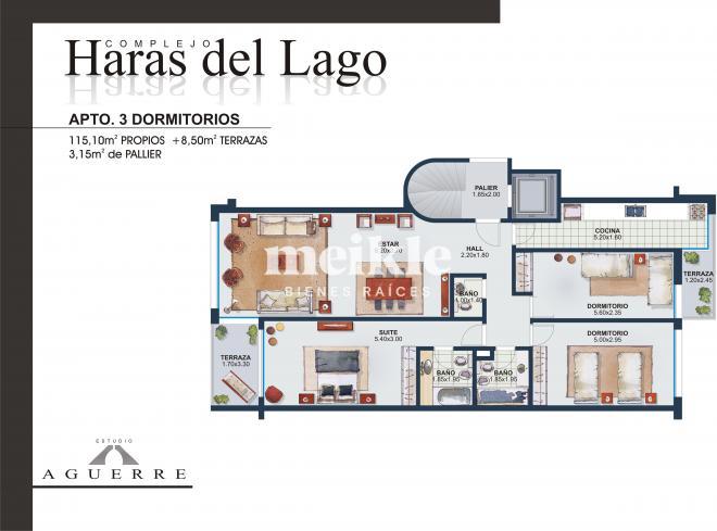 Plano plano 19829