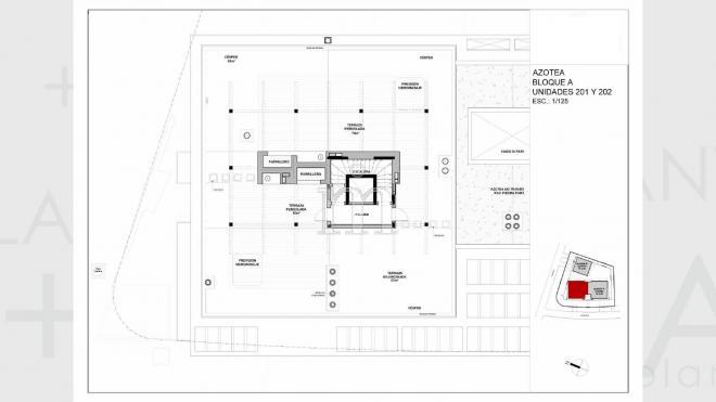 Plano plano 18925