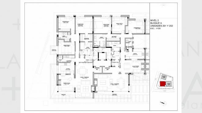 Plano plano 20905