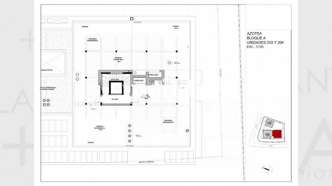Plano plano 20910