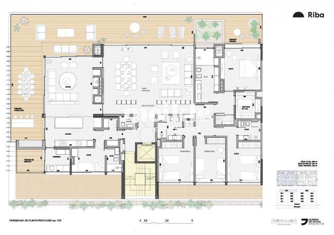Plano plano 19070