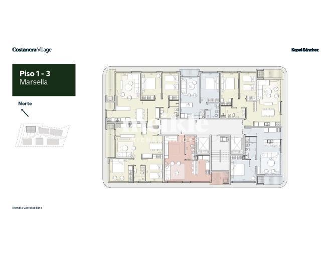 Plano plano 21714