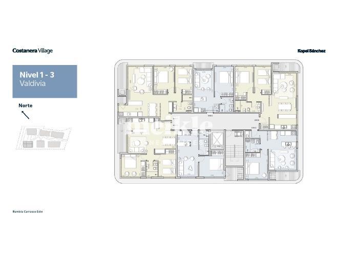 Plano plano 21719