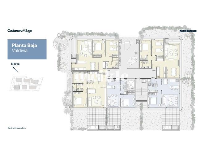 Plano plano 21720