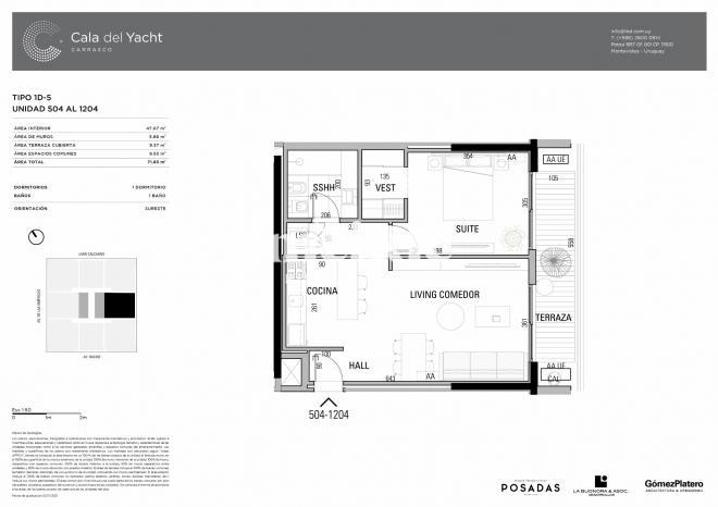 Plano plano 21613