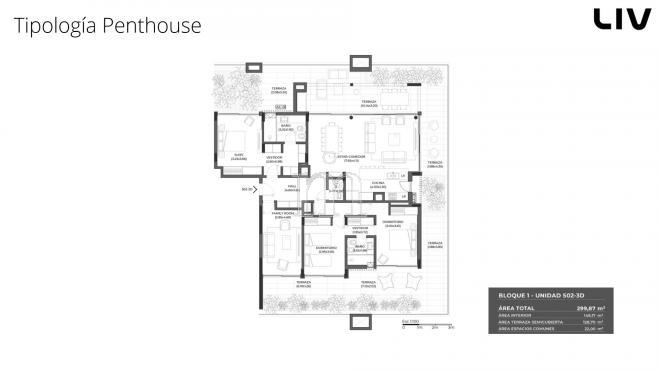 Plano plano 18523