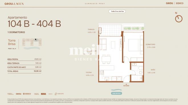 Plano plano 21631