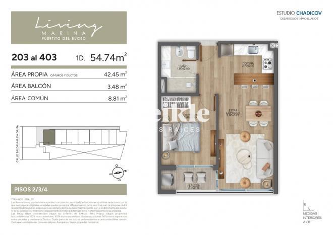Plano plano 21572