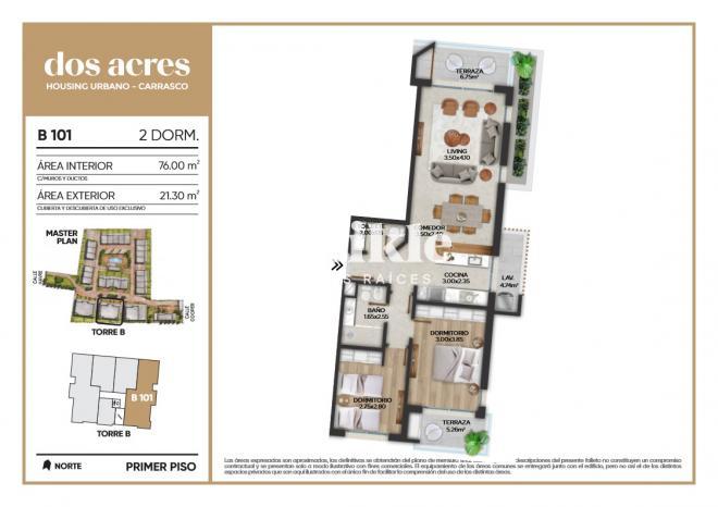 Plano plano 21487