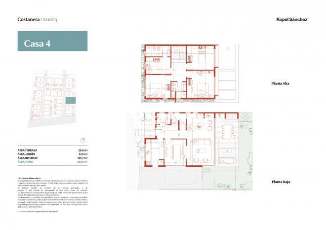 Plano plano 21437