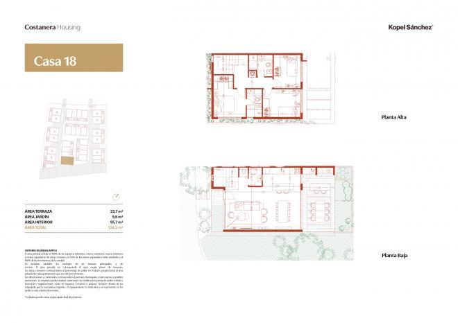 Plano plano 21499