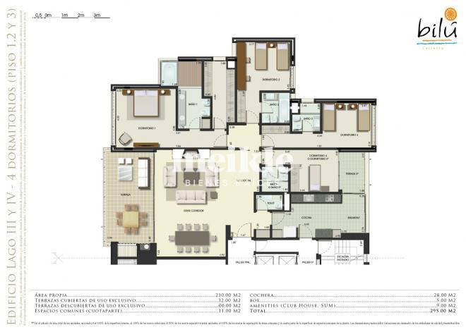 Plano plano 21668